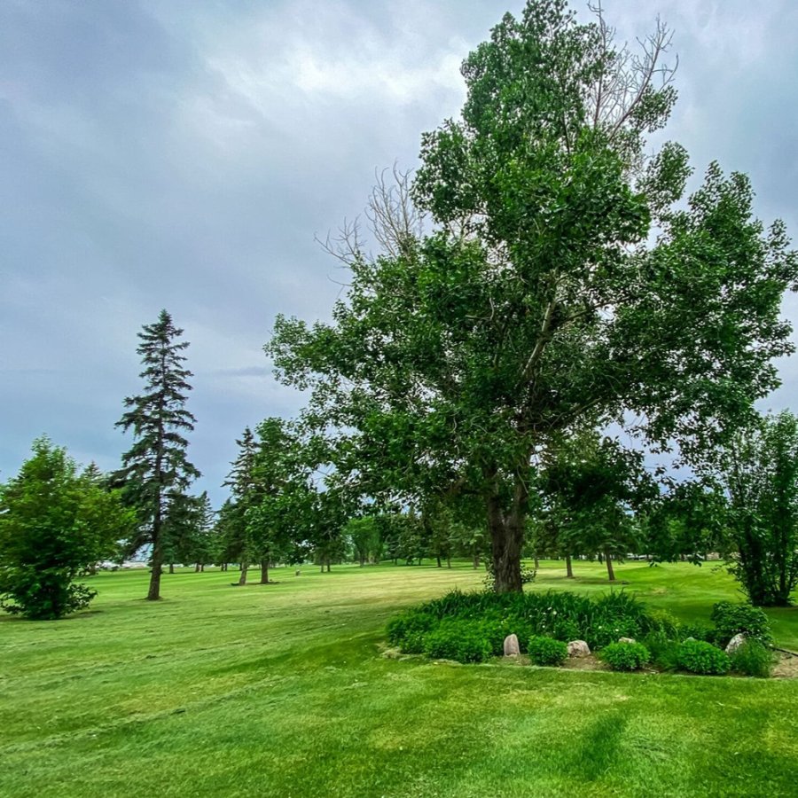 Taber Golf Club