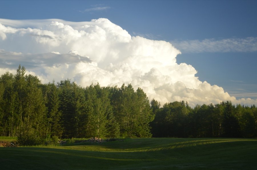 The Village Golf Course